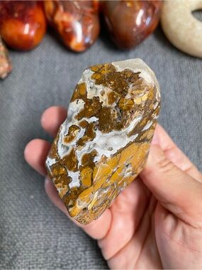 Fully polished ibis Jasper Freeform with crystals